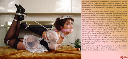 Paraguyaska služka